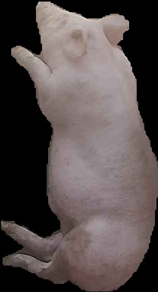 Crop