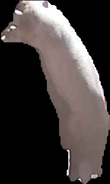 Crop
