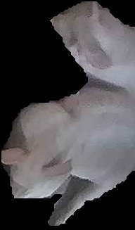 Crop