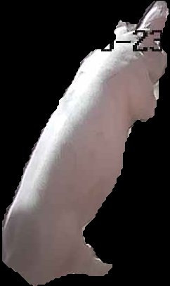 Crop