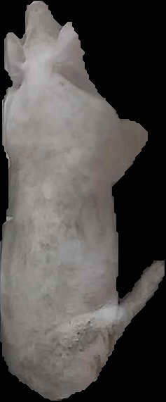 Crop