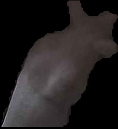 Crop