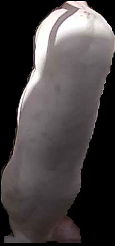 Crop