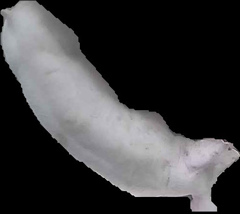 Crop