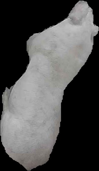Crop