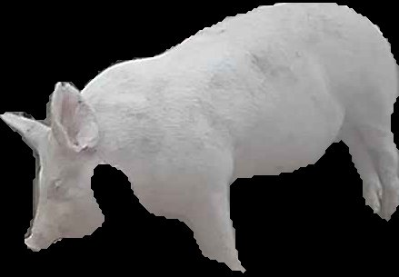 Crop