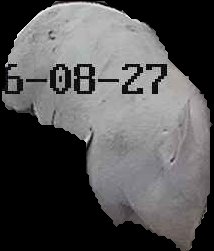 Crop