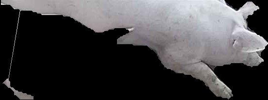 Crop