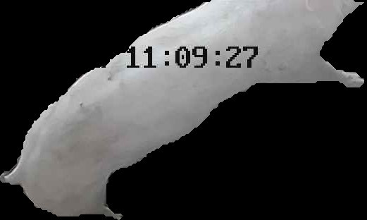 Crop