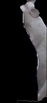 Crop