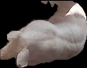 Crop