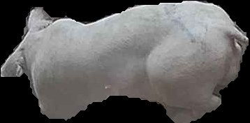 Crop