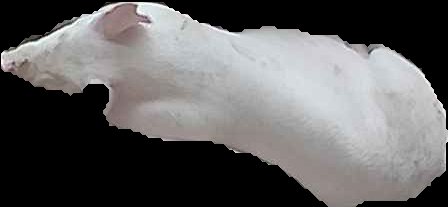 Crop