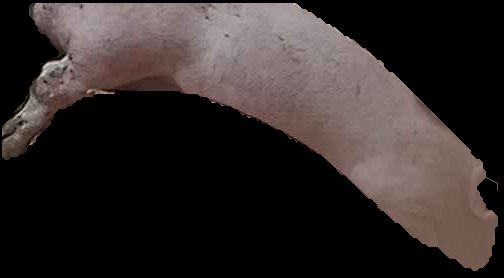Crop