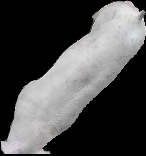 Crop