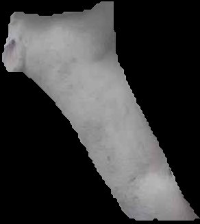 Crop