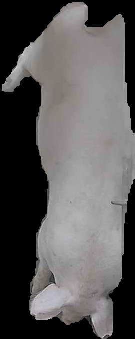 Crop