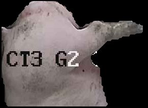 Crop