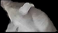 Crop