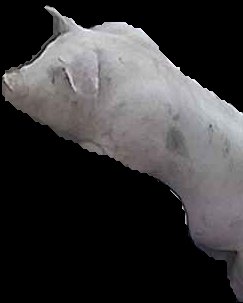 Crop