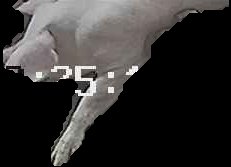 Crop
