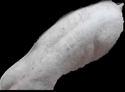 Crop