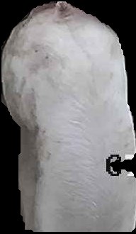 Crop