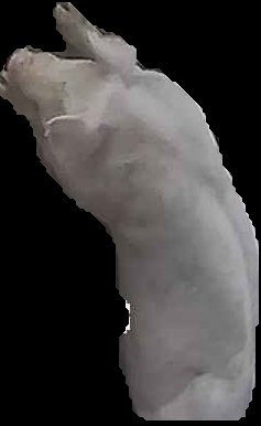Crop