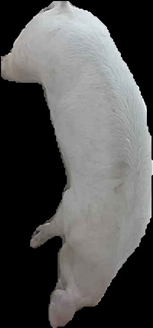 Crop