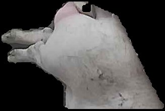 Crop