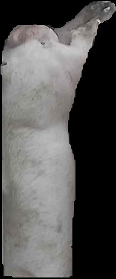 Crop