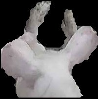 Crop