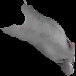Crop