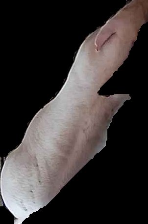 Crop