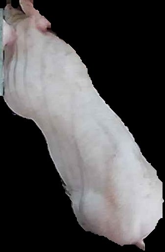 Crop