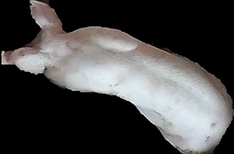 Crop
