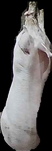 Crop