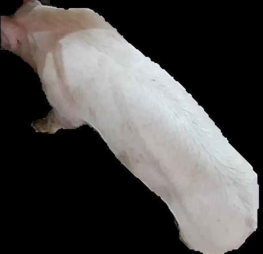 Crop