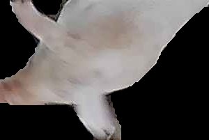 Crop