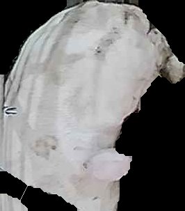 Crop