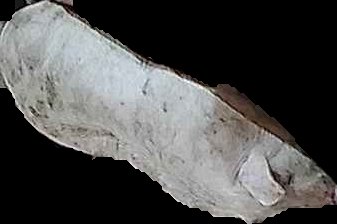 Crop