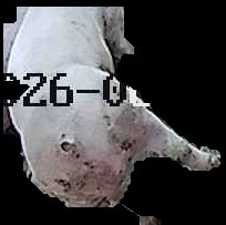 Crop