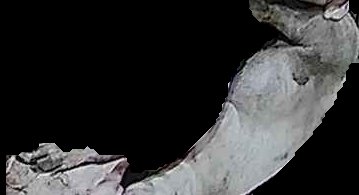 Crop