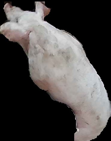 Crop