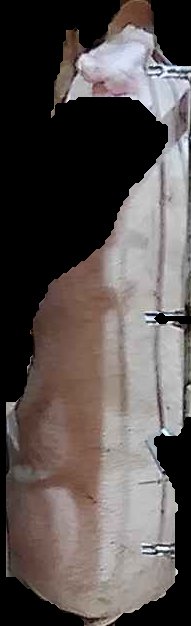 Crop