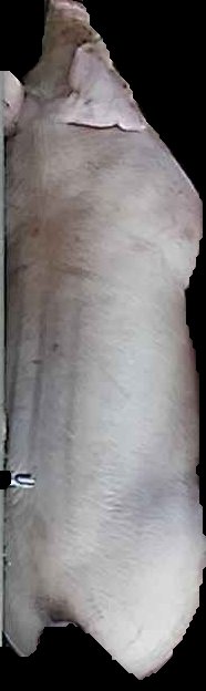 Crop