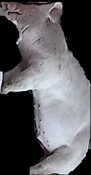Crop