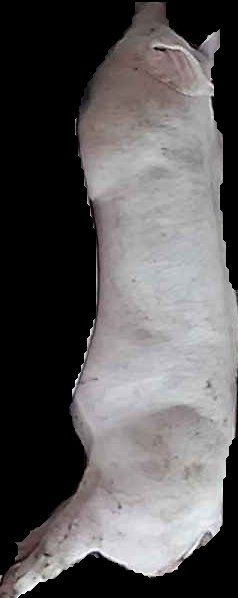 Crop
