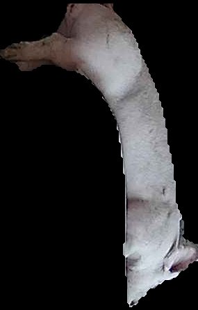 Crop