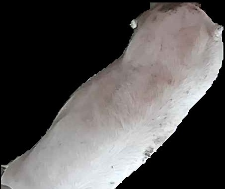 Crop